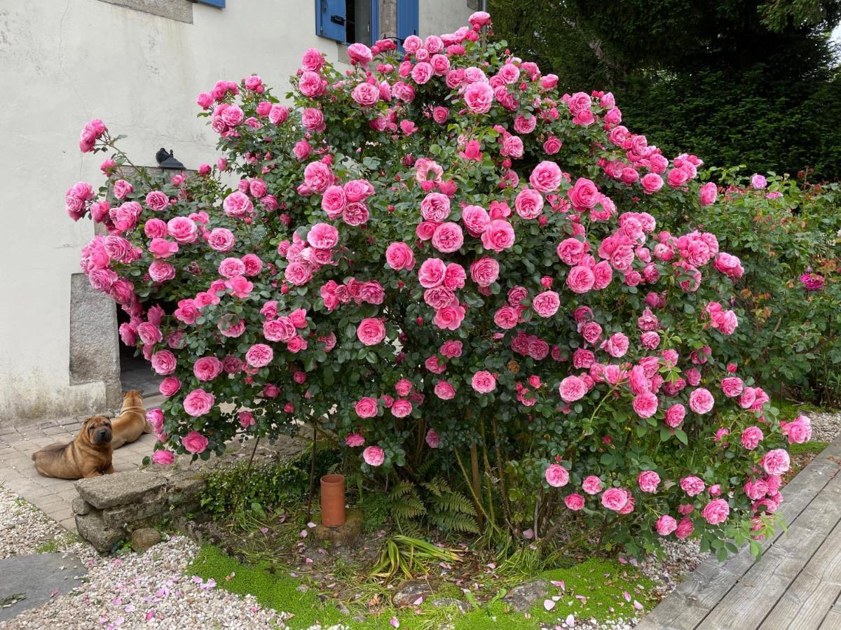 Bed and Breakfast Chez Nosch Plouegat-Guerand Exterior foto